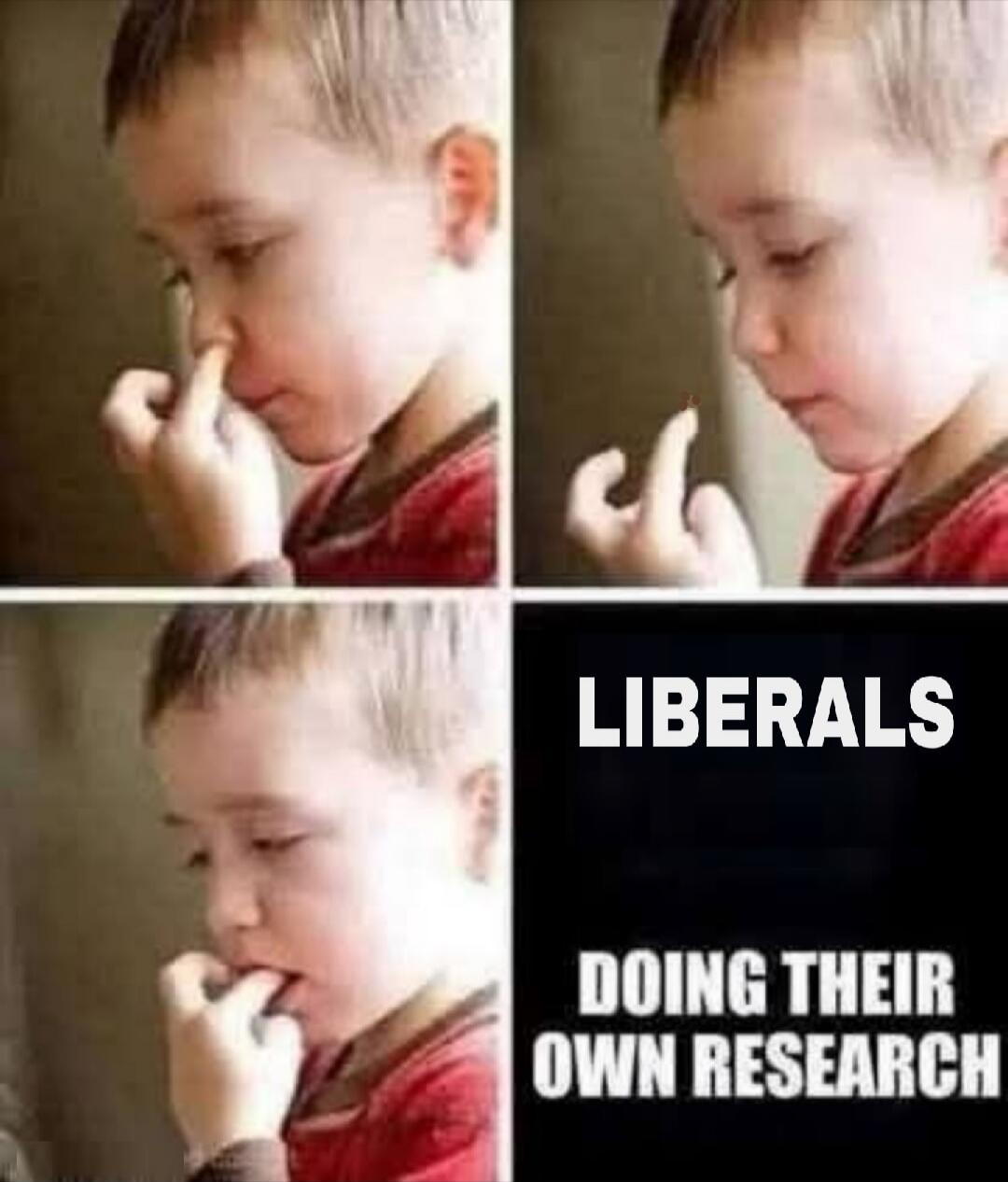 LIBERALS DOING THEIR OWN RESEARCH
