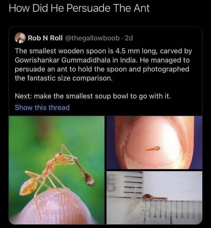 How Did He Persuade The Ant Q 206 J I 2 o NITR LT Tl o1 o ToTe o iipede The smallest wooden spoon is 45 mm long carved by Gowrishankar Gummadidhala in India He managed to SEIEET LRETa TR ol alo e R a T o ToToTg WToTe el aleY CoTe T ol LeTe the fantastic size comparison N CR G R U SES EYeT0 oM oTe WV R o R e e RV o N SRR GIETe