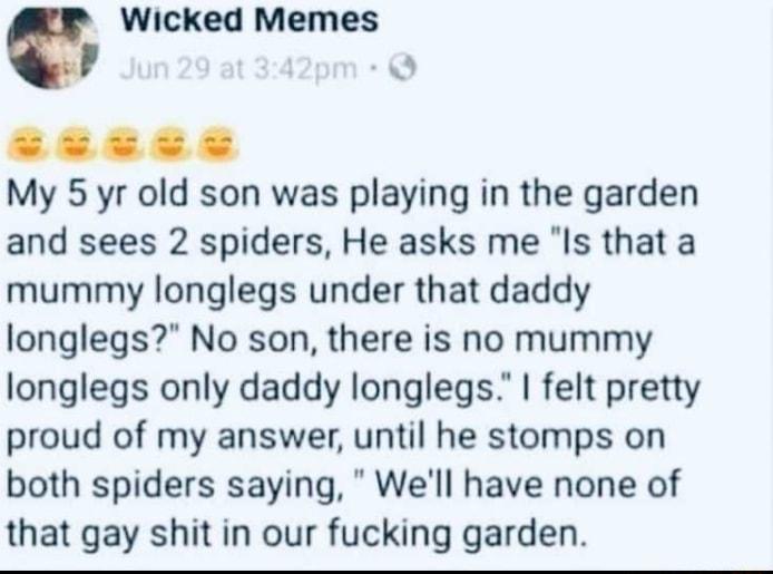 e Wicked Memes 5 EEESES My 5 yr old son was playing in the garden and sees 2 spiders He asks me Is that a mummy longlegs under that daddy longlegs No son there is no mummy longlegs only daddy longlegs felt pretty proud of my answer until he stomps on both spiders saying Well have none of that gay shit in our fucking garden