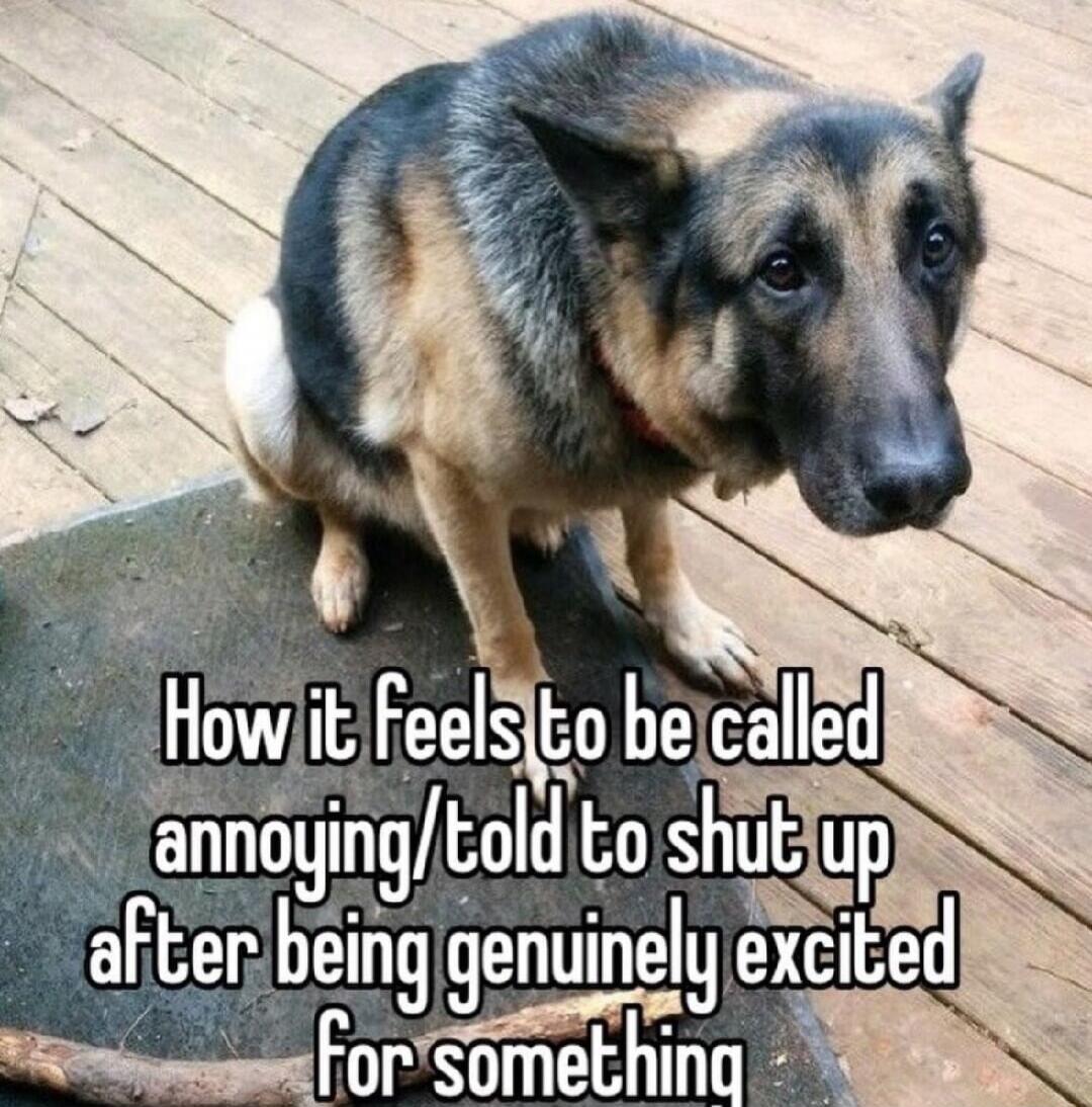 How it feels to be called annoying/told to shut up after being genuinely excited for something