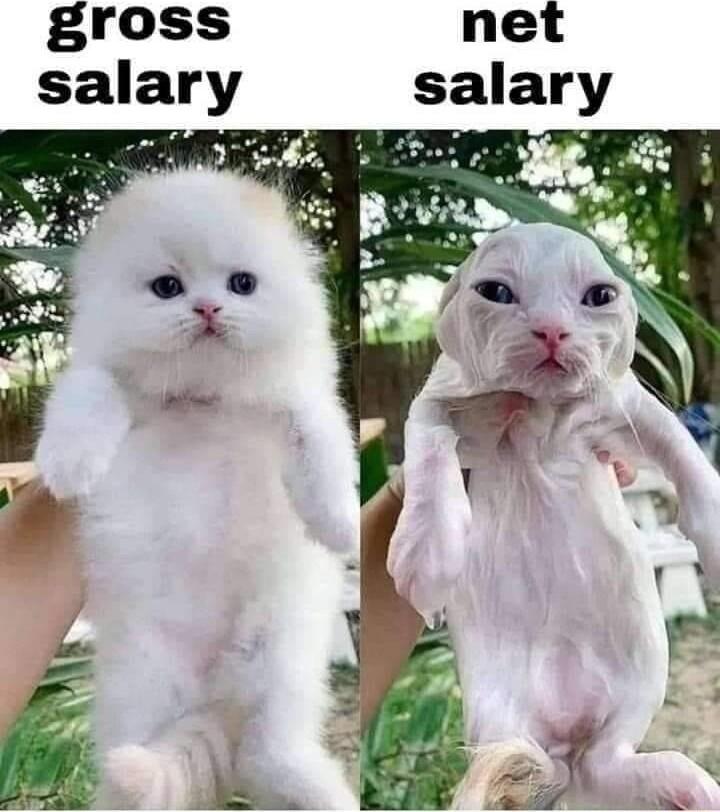 gross net salary R e