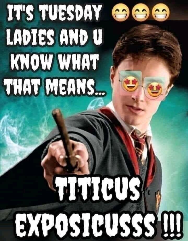 IT'S TUESDAY LADIES AND U KNOW WHAT THAT MEANS... TITCUS EXPOSICUSSS!!!
