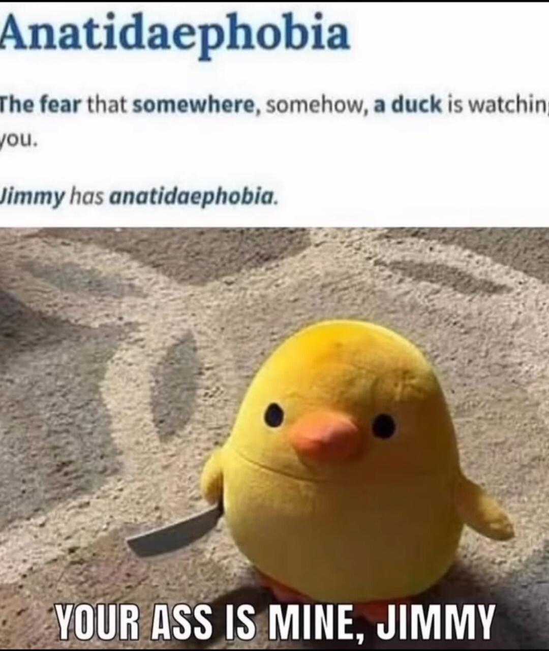 Anatidaephobia he fear that somewhere somehow a duck is watchin ou limmy has anatidaephobia YOURASS ISMINE JIMMY