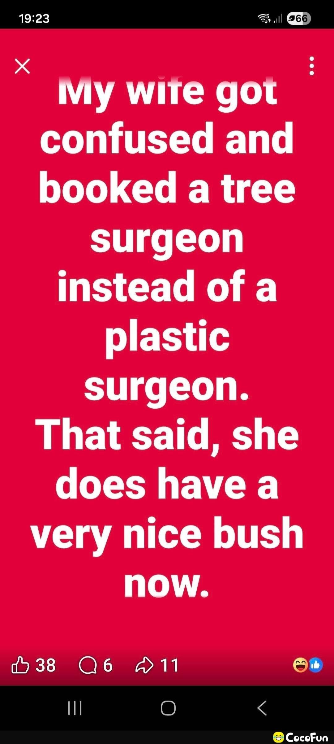 My wife got confused and booked a tree surgeon instead of a plastic surgeon. That said, she does have a very nice bush now.