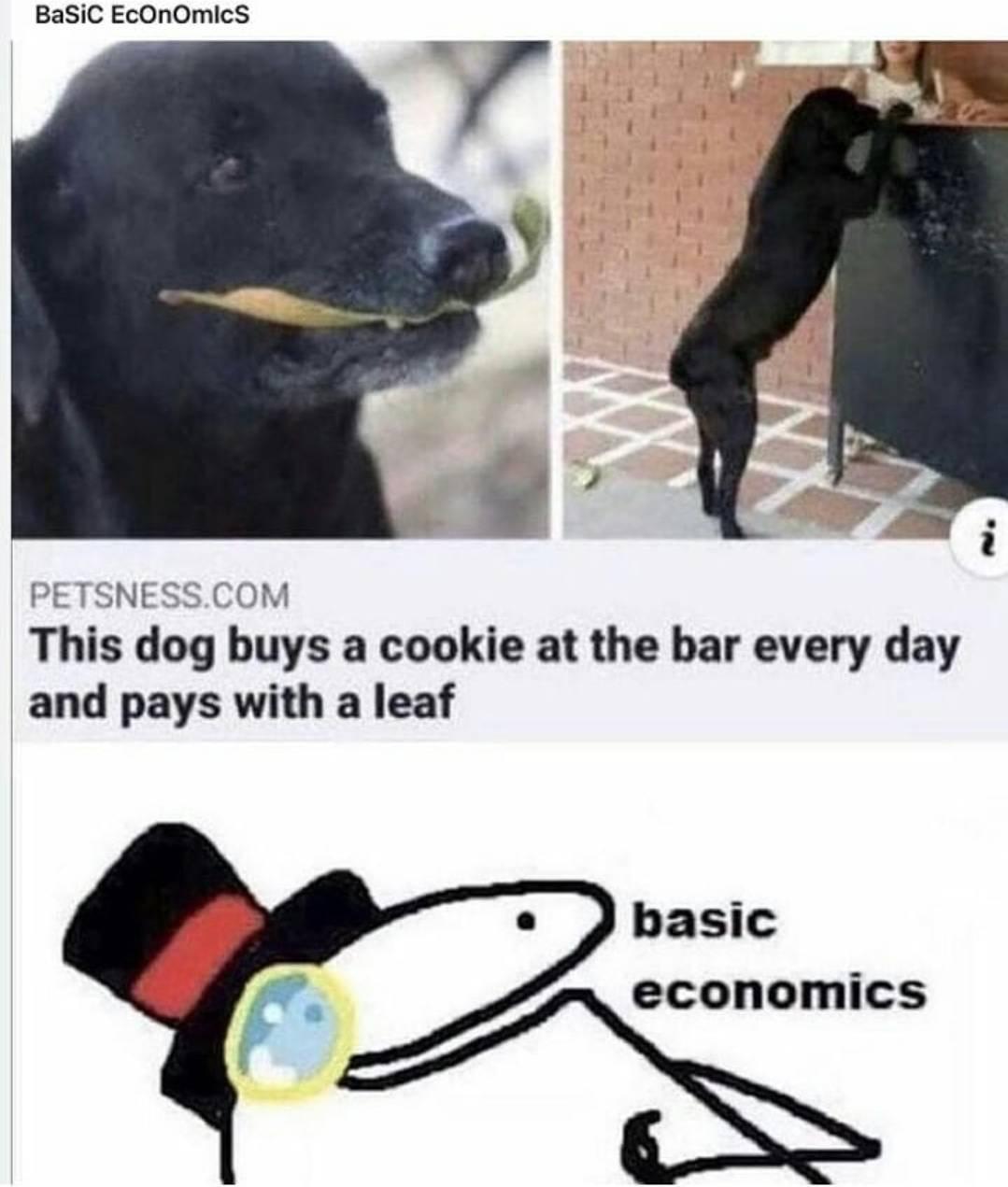 BaSiC EcOnOmicS PETSNESSCOM This dog buys a cookie at the bar every day and pays with a leaf basic economics