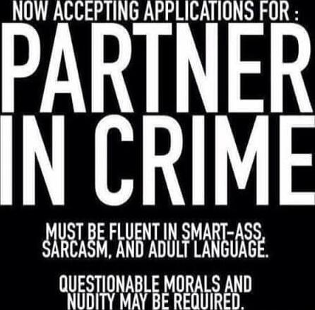NOW ACCEPTING APPLICATIONS FOR: PARTNER IN CRIME MUST BE FLUENT IN SMART-ASS SARCASM, AND ADULT LANGUAGE. QUESTIONABLE MORALS AND NUDITY MAY BE REQUIRED.