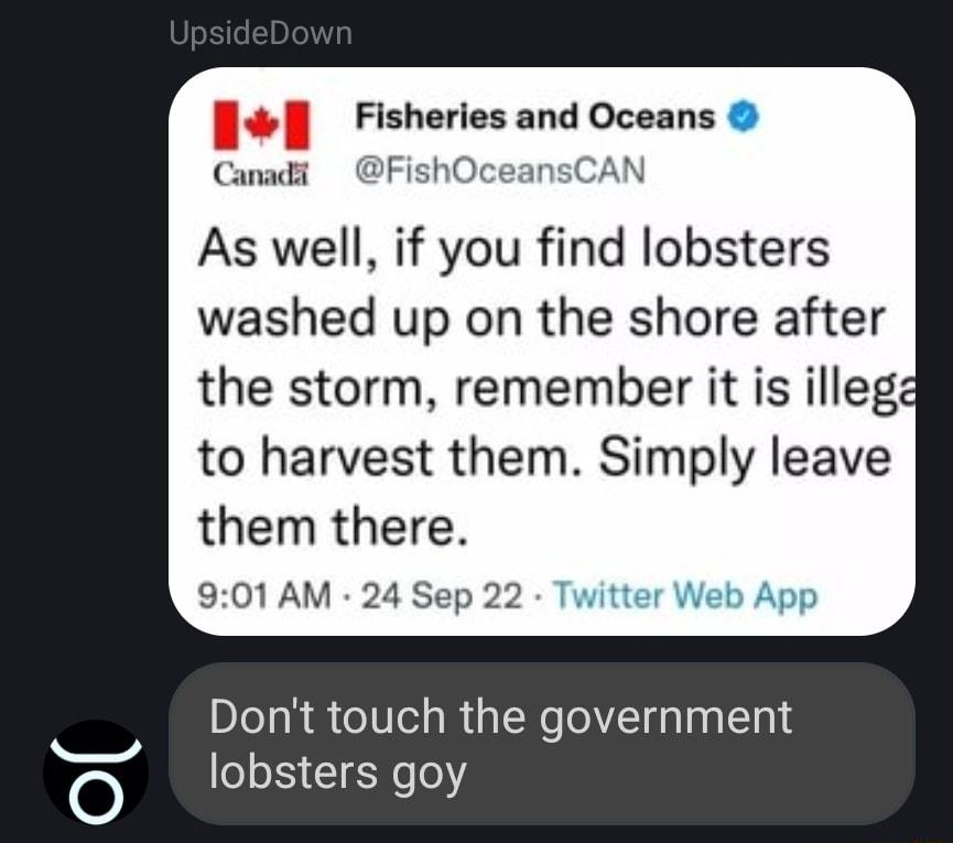 Ko Fisheries and Oceans Camadi N As well if you find lobsters washed up on the shore after the storm remember it is illeg to harvest them Simply leave them there 901 AM 24 Sep 22 Dont touch the government lobsters goy