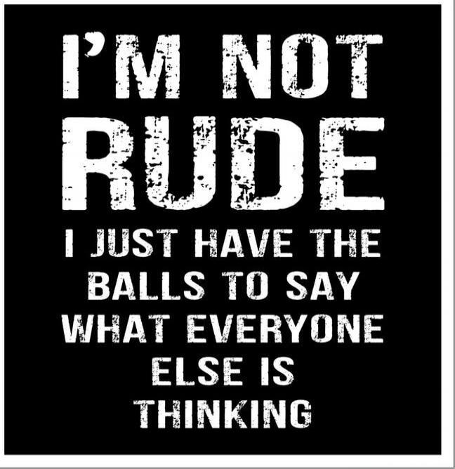 I'M NOT RUDE I JUST HAVE THE BALLS TO SAY WHAT EVERYONE ELSE IS THINKING
