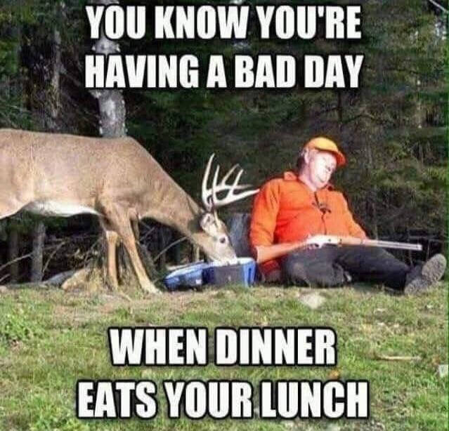 YOU KNOW YOU'RE HAVING A BAD DAY WHEN DINNER EATS YOUR LUNCH