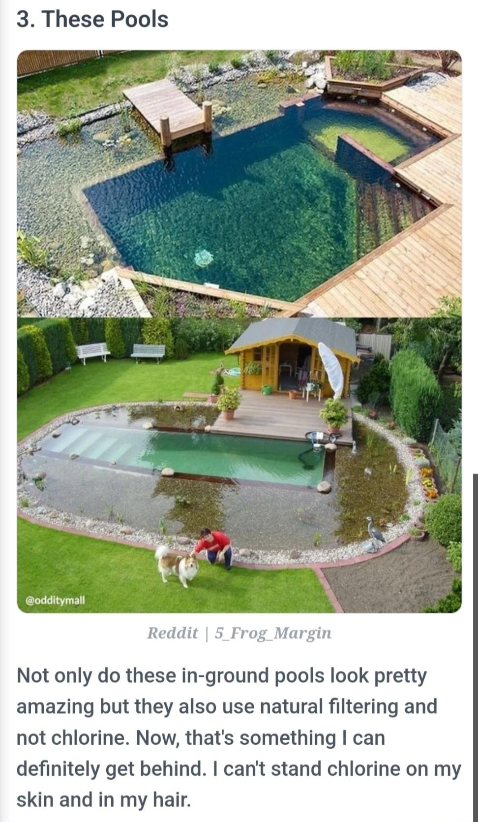 3 These Pools Reddit 5_Frog Margin Not only do these in ground pools look pretty amazing but they also use natural filtering and not chlorine Now thats something can definitely get behind cant stand chlorine on my skin and in my hair