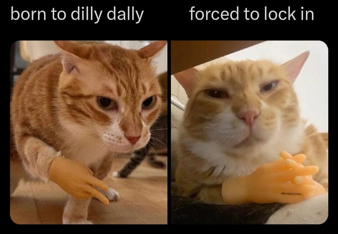 born to dilly dally forced to lock in