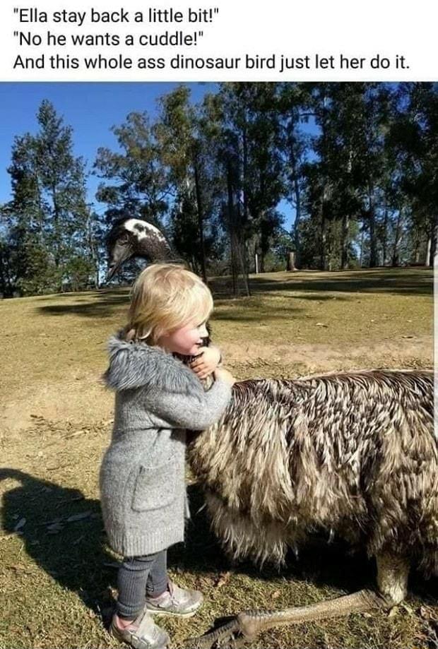 Ella stay back a little bit No he wants a cuddle And this whole ass dinosaur bird just let her do it