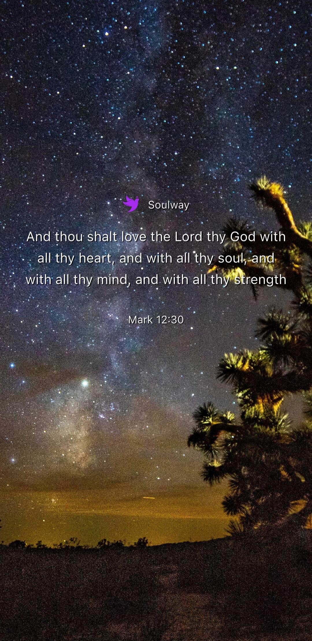 Soulway
And thou shalt love the Lord thy God with all thy heart, and with all thy soul, and with all thy mind, and with all thy strength
Mark 12:30