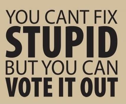 YOU CAN'T FIX STUPID BUT YOU CAN VOTE IT OUT