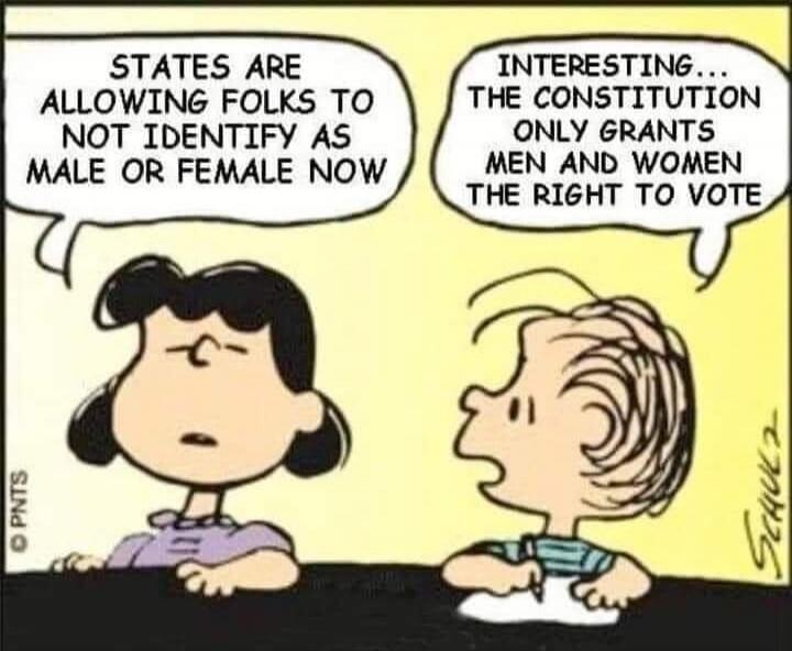 States are allowing folks to not identify as male or female now
Interesting... the constitution only grants men and women the right to vote