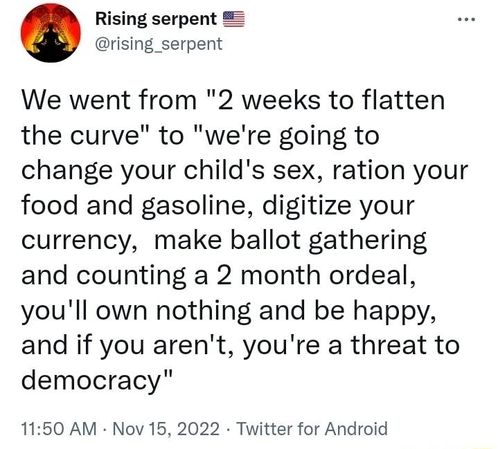 Rising serpent rising_serpent We went from 2 weeks to flatten the curve to were going to change your childs sex ration your food and gasoline digitize your currency make ballot gathering and counting a 2 month ordeal youll own nothing and be happy and if you arent youre a threat to democracy 1150 AM Nov 15 2022 Twitter for Android