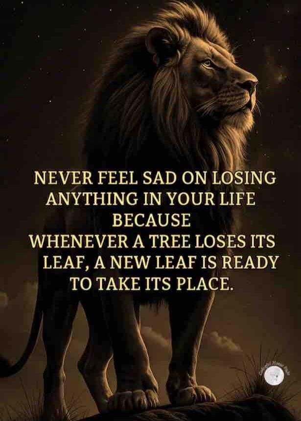 NEVER FEEL SAD ON LOSING ANYTHING IN YOUR LIFE BECAUSE WHENEVER A TREE LOSES ITS LEAF, A NEW LEAF IS READY TO TAKE ITS PLACE.