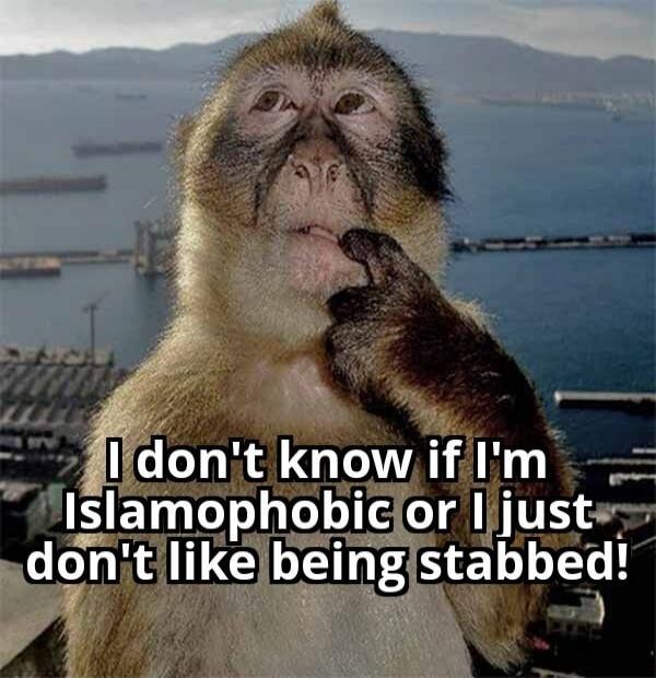 I don't know if I'm Islamophobic or I just don't like being stabbed!