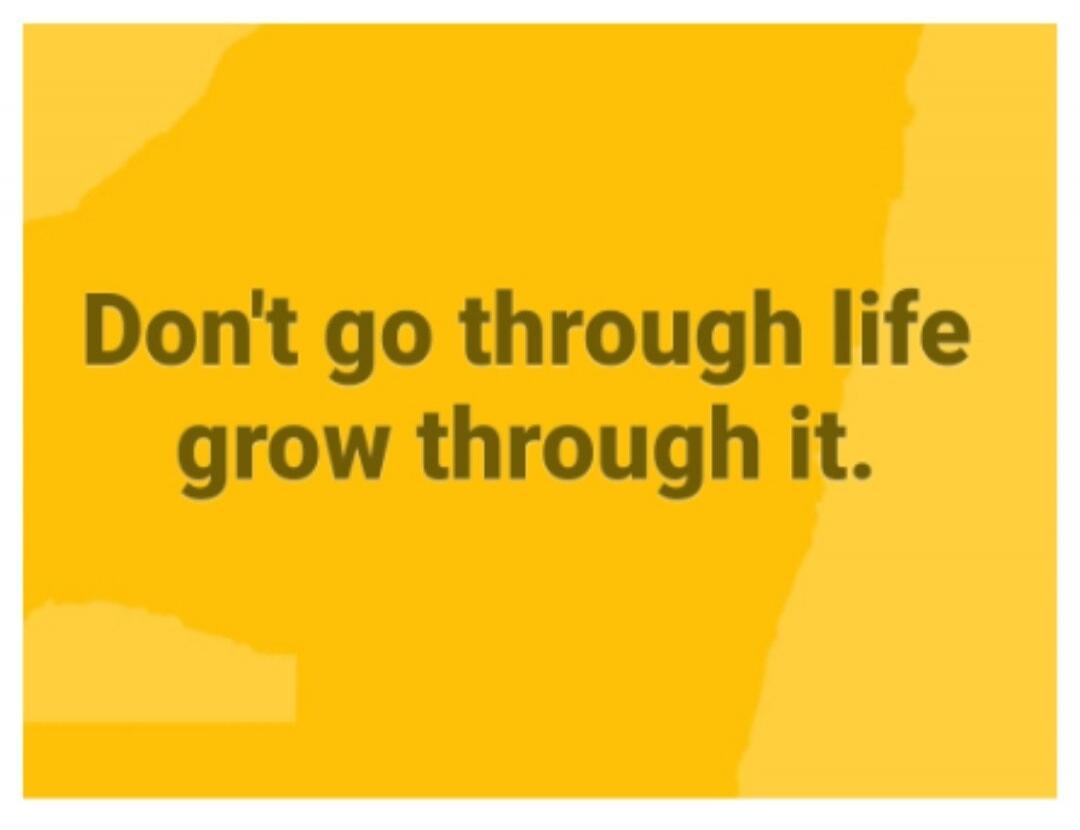Don't go through life grow through it.