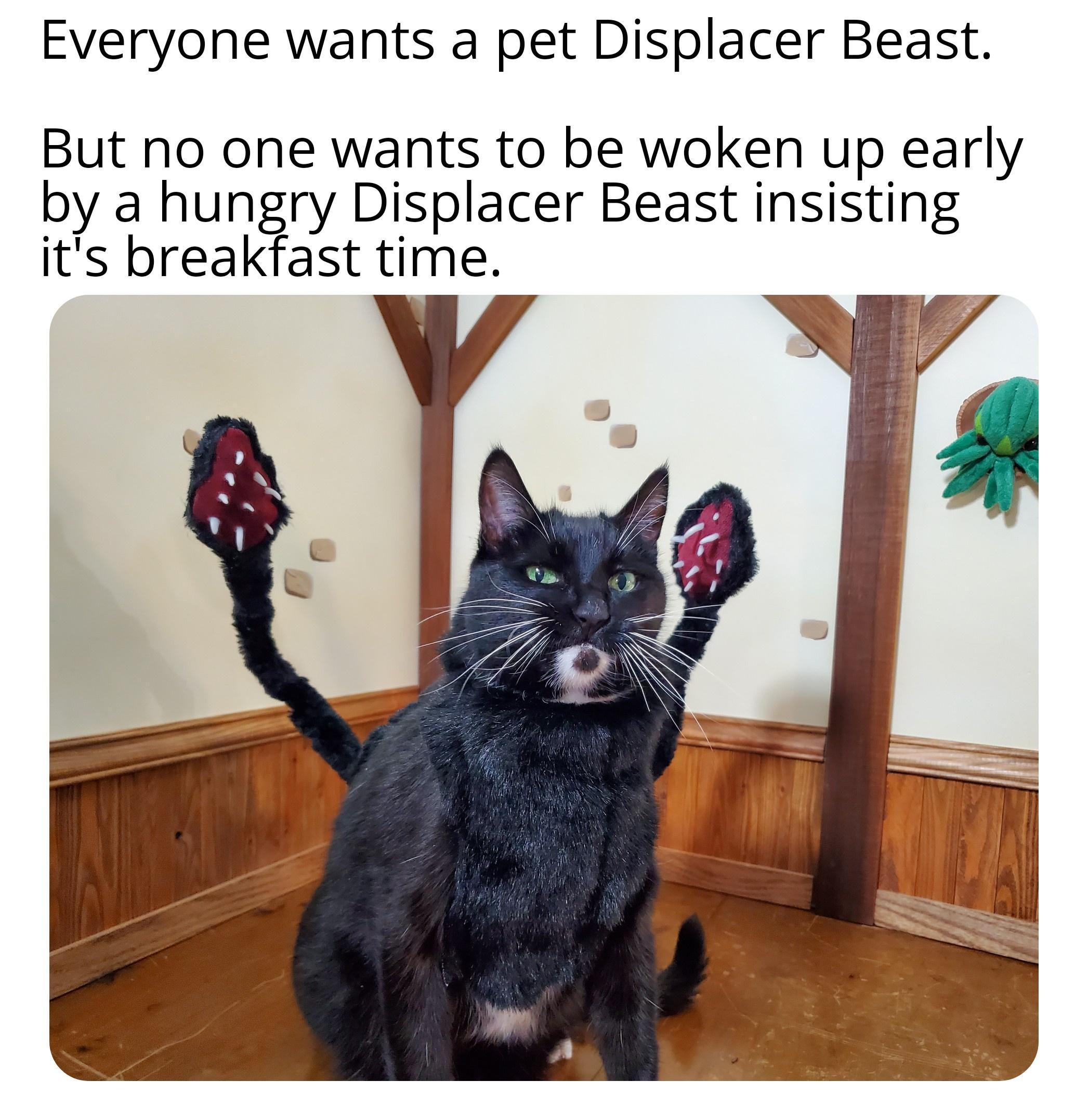 Everyone wants a pet Displacer Beast But no one wants to be woken up early by a hunry Displacer Beast insisting ast time t s break