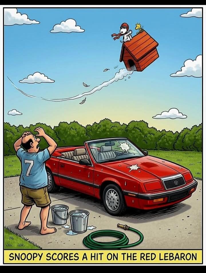 Snoopy scores a hit on the red LeBaron. Snoopy, dressed as the Red Baron, flies his doghouse over a red convertible car, dropping something that splatters on it. A man who was washing the car looks up in dismay.