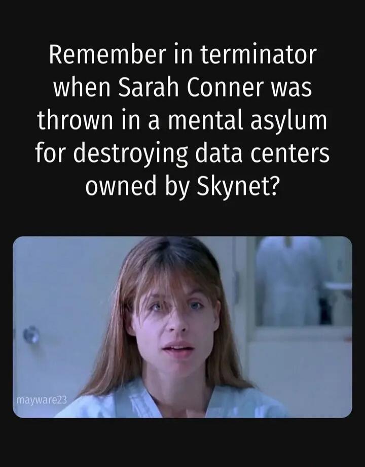 Remember in terminator when Sarah Conner was thrown in a mental asylum for destroying data centers owned by Skynet?