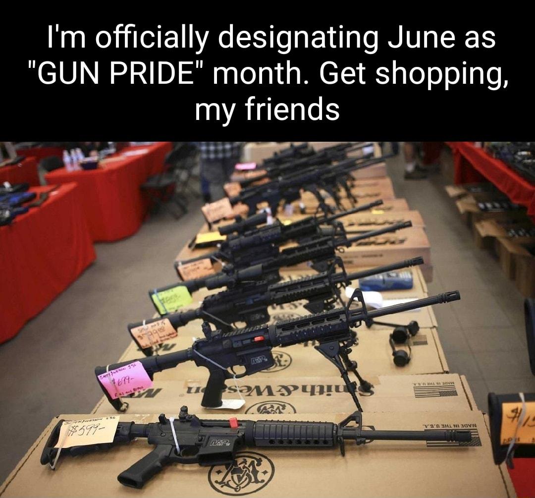 Im officially designating June as GUN PRIDE month Get shopping my friends _ or u e bl o