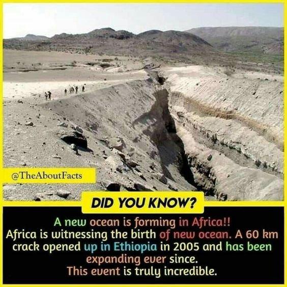 TheAboutFacts L hendes o DID YOU KNOW A new ocean is forming in Africa Africa is witnessing the birth of new ocean A 60 km crack opened up in Ethiopia in 2005 and has been expanding ever since This event is truly incredible