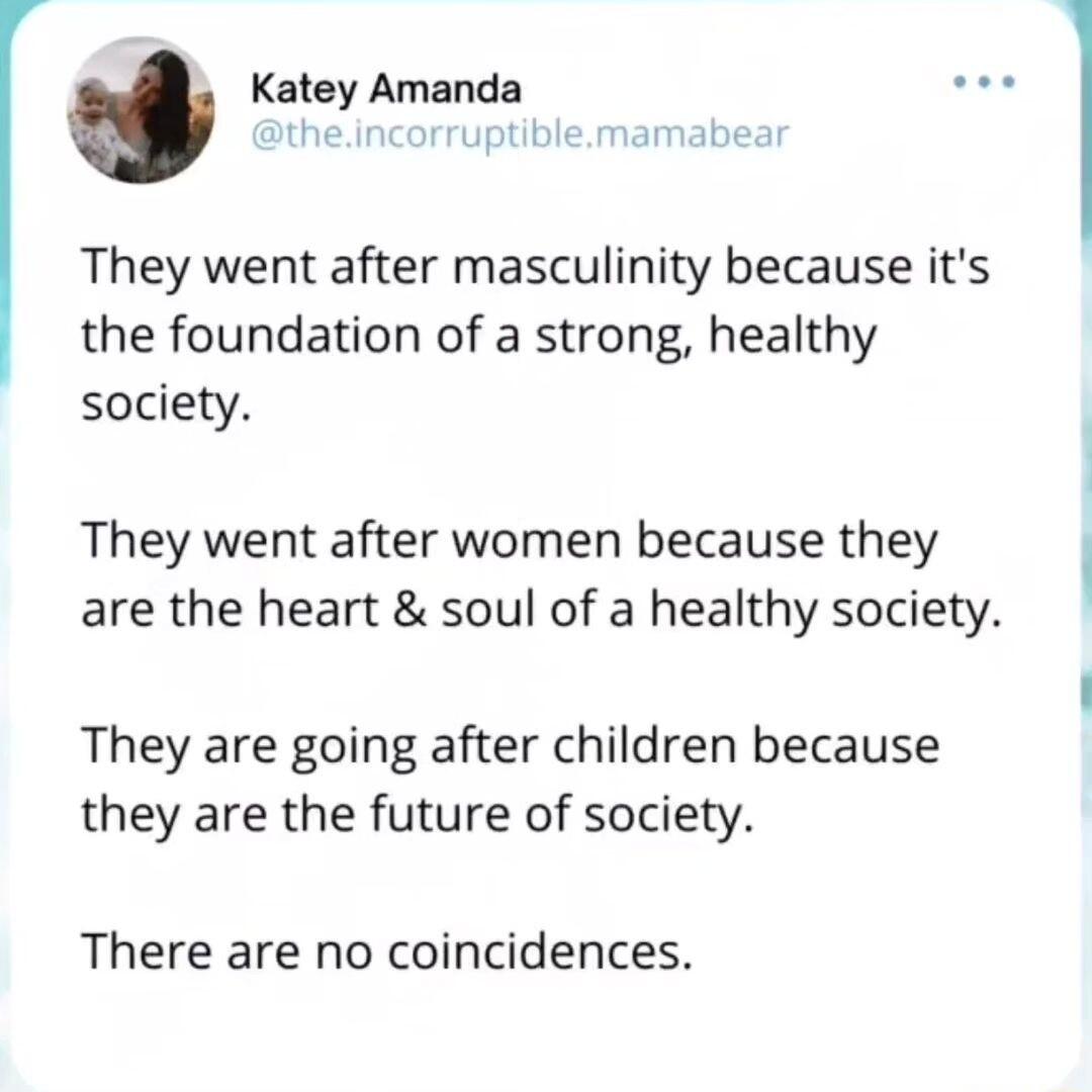 Katey Amanda They went after masculinity because its the foundation of a strong healthy society 1 L They went after women because they l are the heart soul of a healthy society They are going after children because they are the future of society There are no coincidences