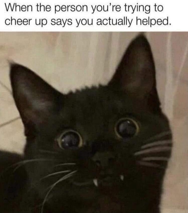 When the person you’re trying to cheer up says you actually helped.