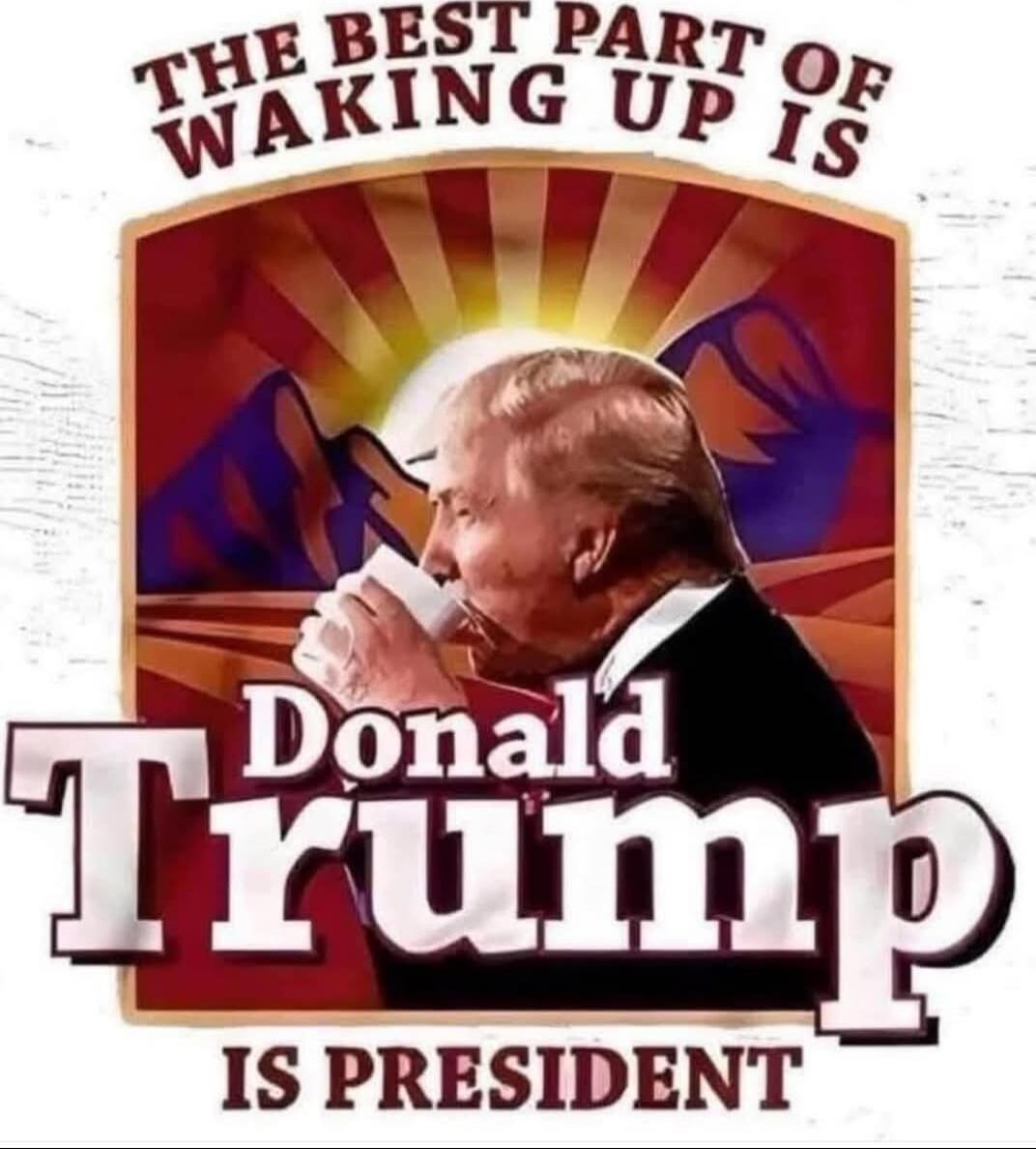 THE BEST PART OF WAKING UP IS\nDonald Trump\nIS PRESIDENT