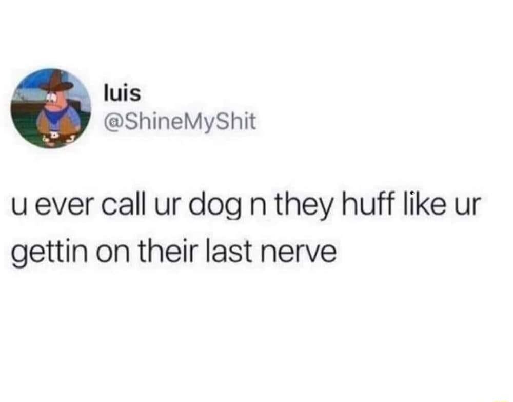 luis ShineMyShit u ever call ur dog n they huff like ur gettin on their last nerve