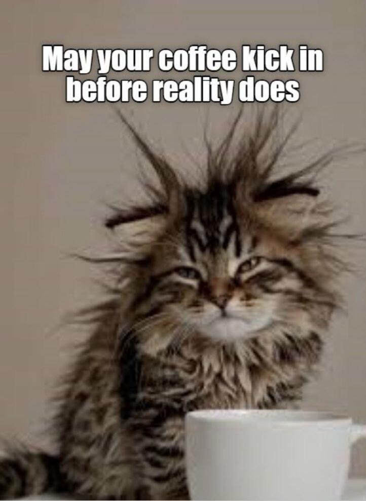 May your coffee kick in before reality does