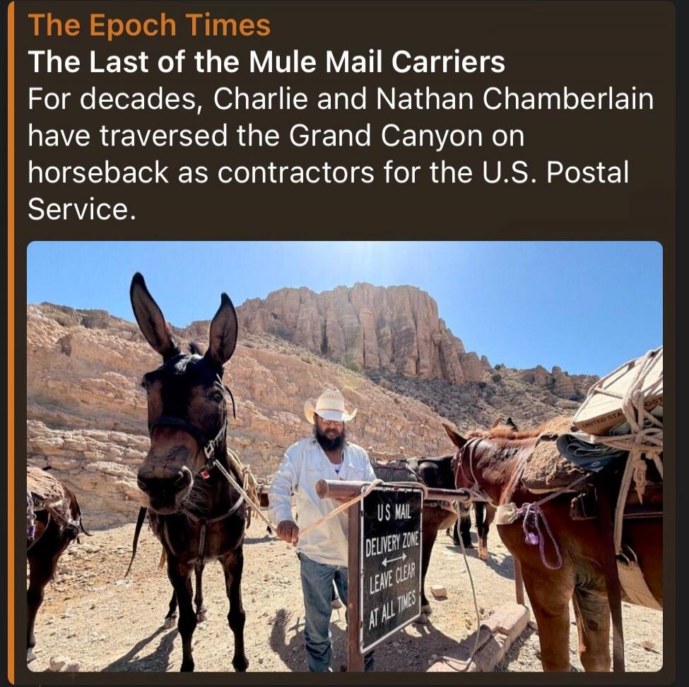 The Epoch Times. The Last of the Mule Mail Carriers. For decades, Charlie and Nathan Chamberlain have traversed the Grand Canyon on horseback as contractors for the U.S. Postal Service. US MAIL DELIVERY ZONE. LEAVE CLEAR AT ALL TIMES.
