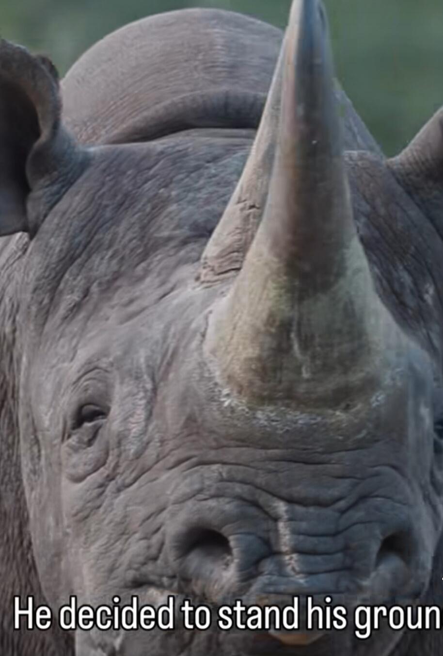 He decided to stand his ground.