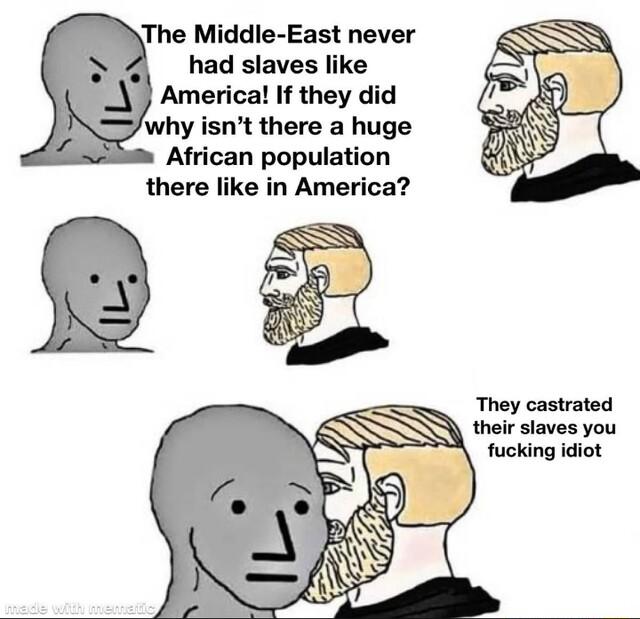 The Middle East never had slaves like Americal If they did African population there like in America