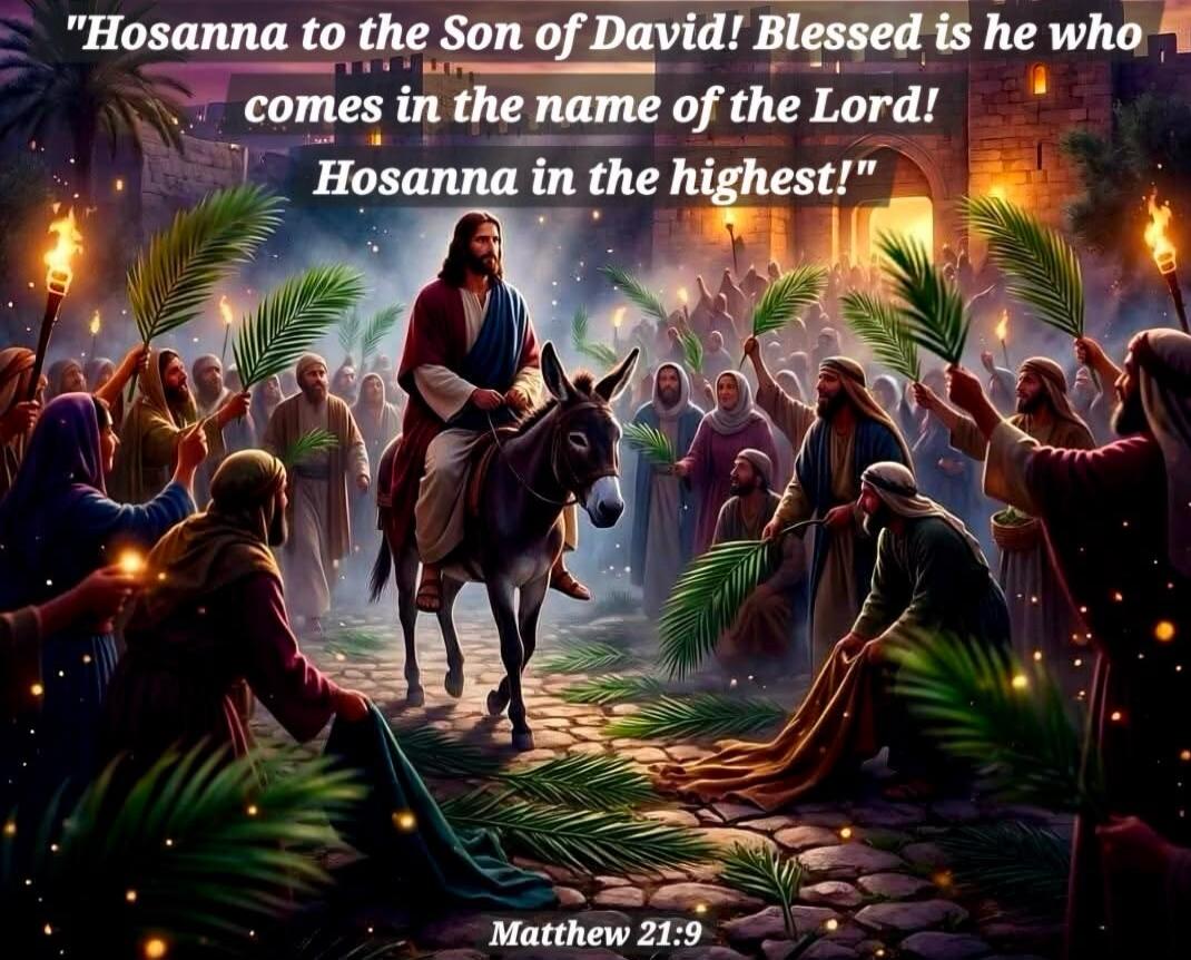 Hosanna to the Son of David! Blessed is he who comes in the name of the Lord! Hosanna in the highest! Matthew 21:9