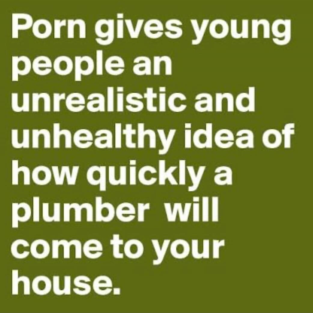 Porn gives young people an unrealistic and unhealthy idea of how quickly a plumber will come to your house.