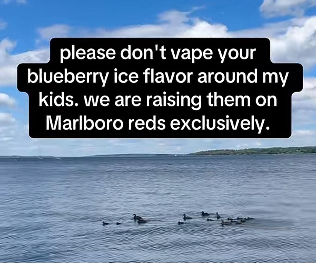 please don't vape your blueberry ice flavor around my kids. we are raising them on Marlboro reds exclusively.