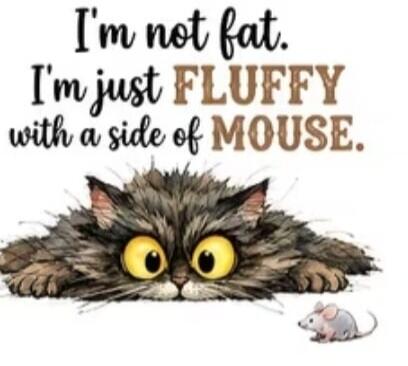 I'm not fat. I'm just FLUFFY with a side of MOUSE.