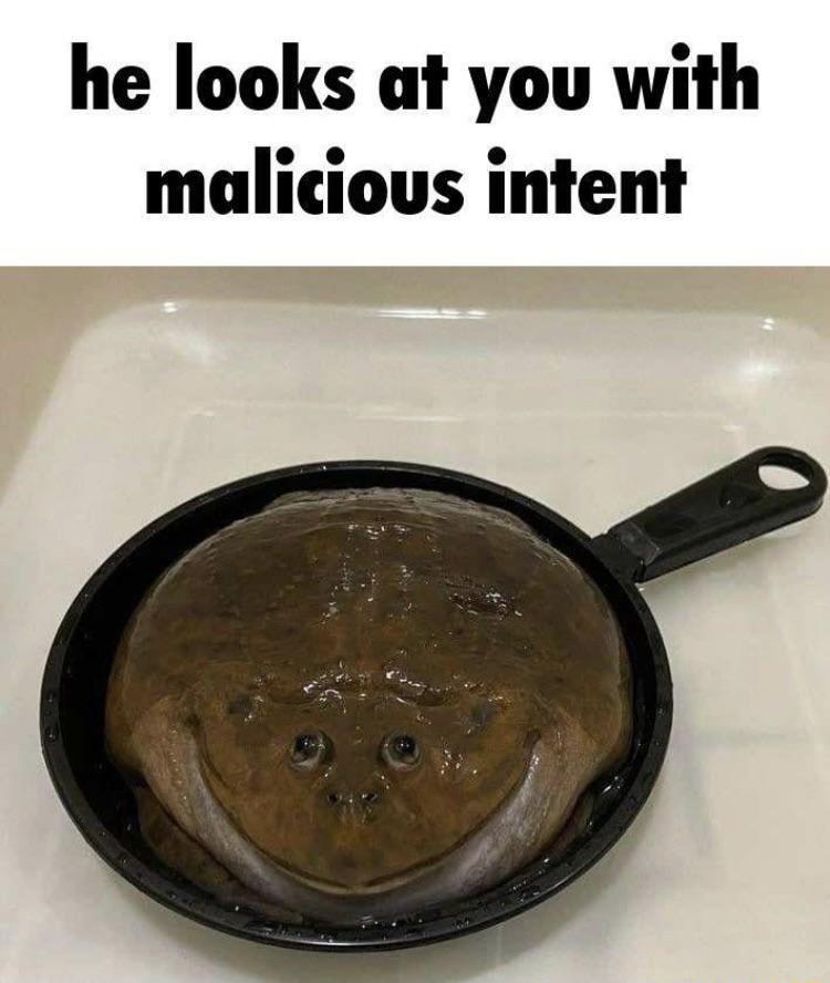 he looks at you with malicious intent