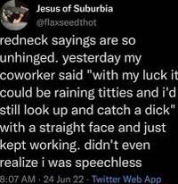 Jesus of Suburbia fiflaxseedthot redneck sayings are so unhinged yesterday my coworker said with my luck it could be raining titties and id still look up and catch a dick GERS R TRl BTN kept working didnt even realize i was speechless 207 AM 24 Jun 272 Twitter Web App