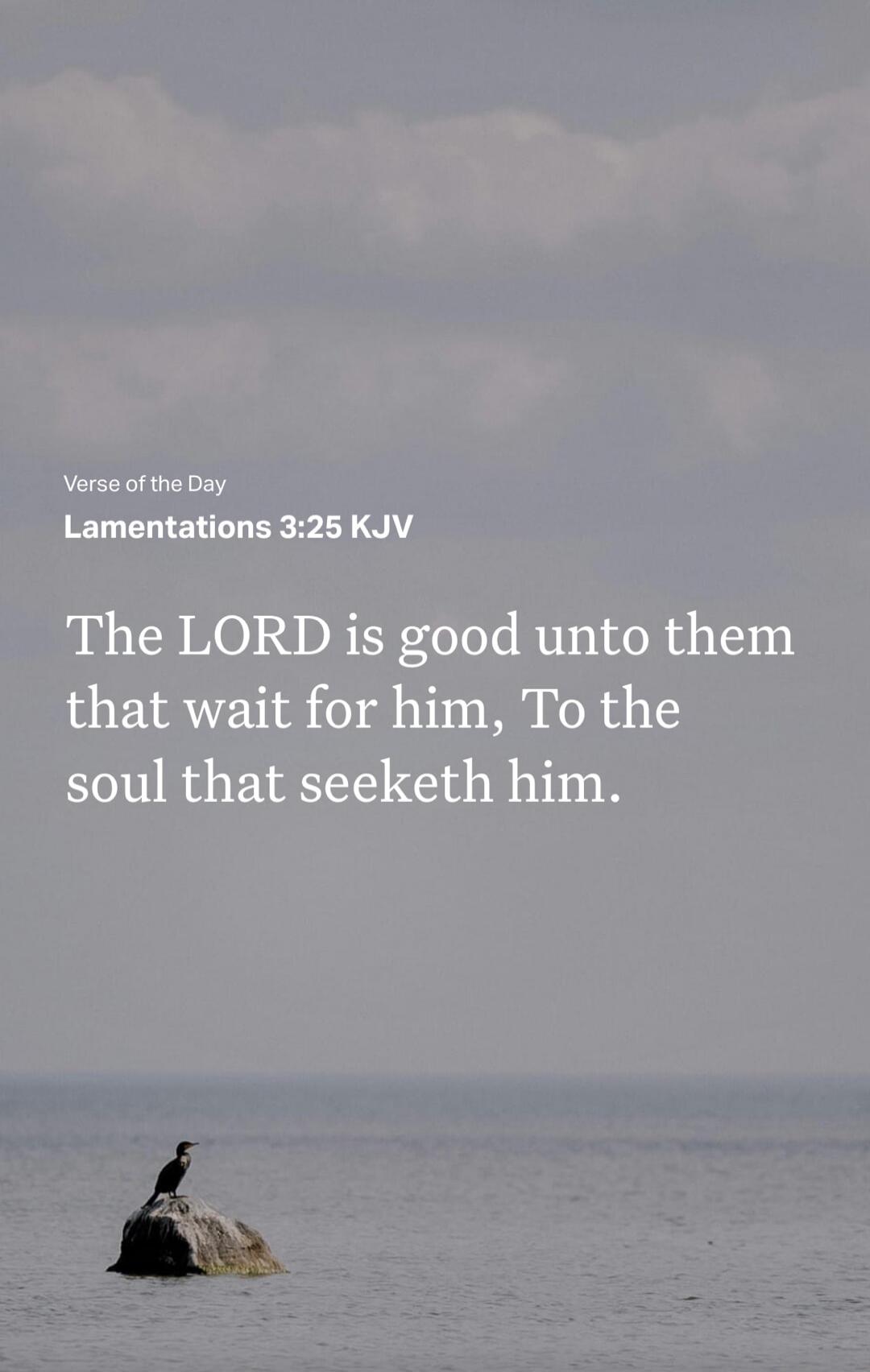 Verse of the Day
Lamentations 3:25 KJV
The LORD is good unto them that wait for him, To the soul that seeketh him.