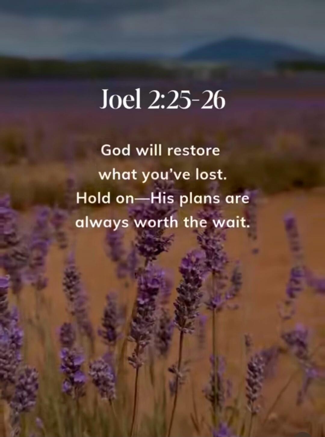 Joel 2:25-26 God will restore what you've lost. Hold on—His plans are always worth the wait.