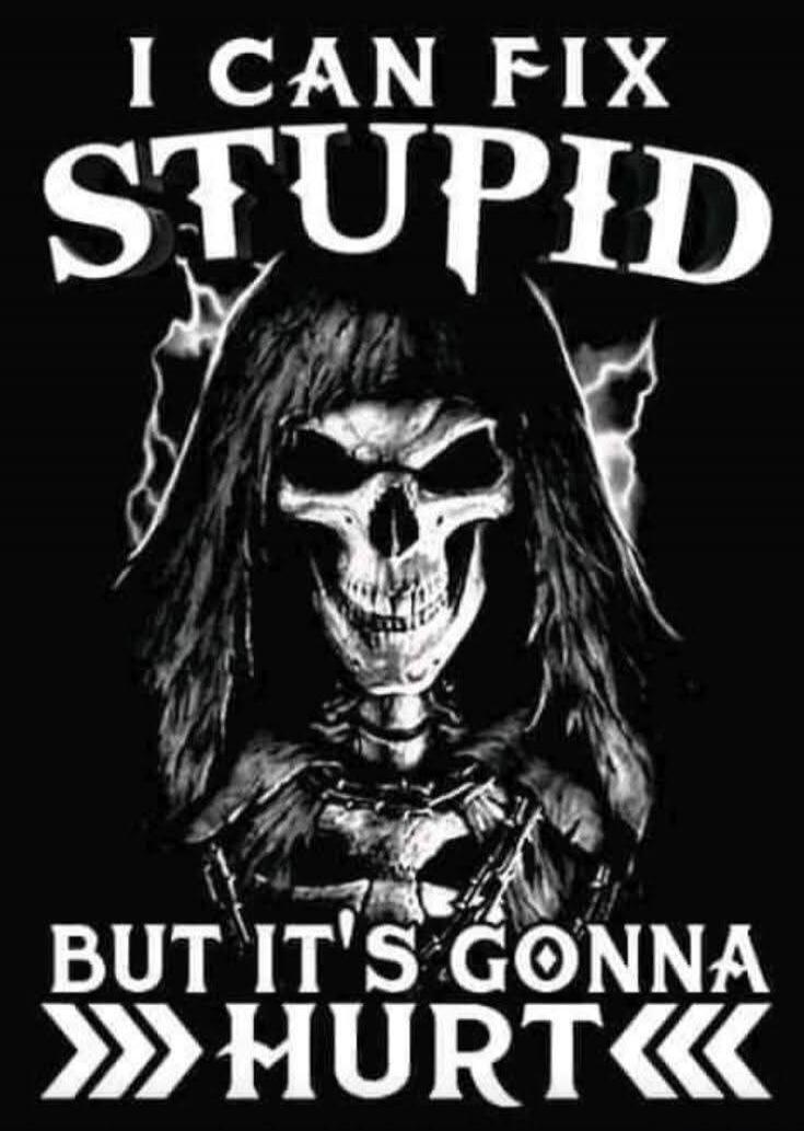 I CAN FIX STUPID BUT IT'S GONNA HURT
