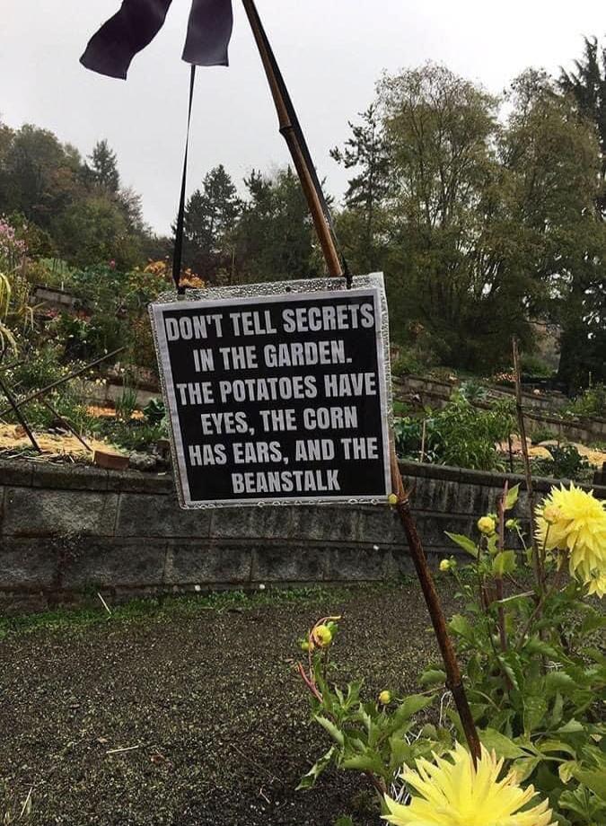 NDONT TELL SECRETS 1N THE GARDEN THE POTATOES HAVE 5 EYES THE CORN ii A s cins o THE L o BEANSTALK e