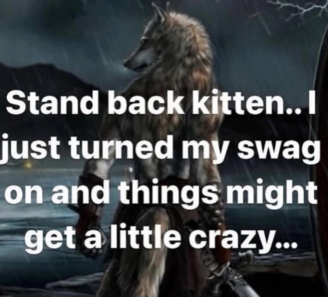 Stand back kitten.. I just turned my swag on and things might get a little crazy...