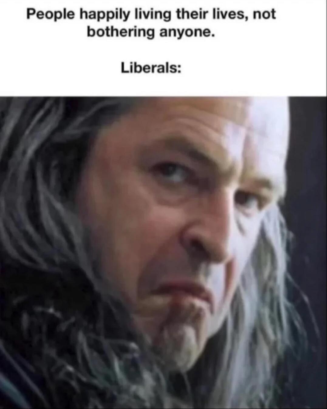 People happily living their lives, not bothering anyone. Liberals:
