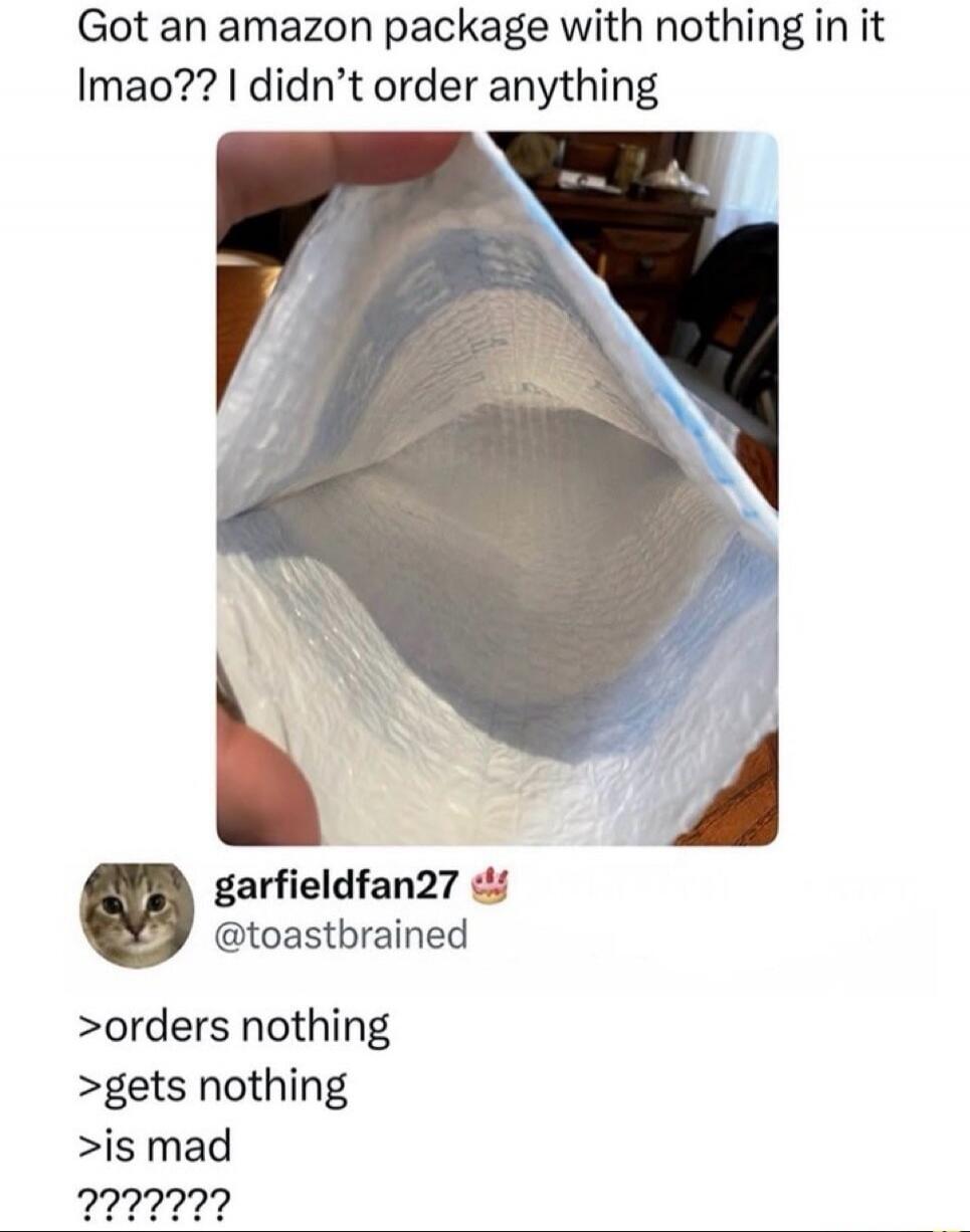 Got an amazon package with nothing in it lmao?? I didn't order anything garfieldfan27 @toastbrained >orders nothing >gets nothing >is mad ????????