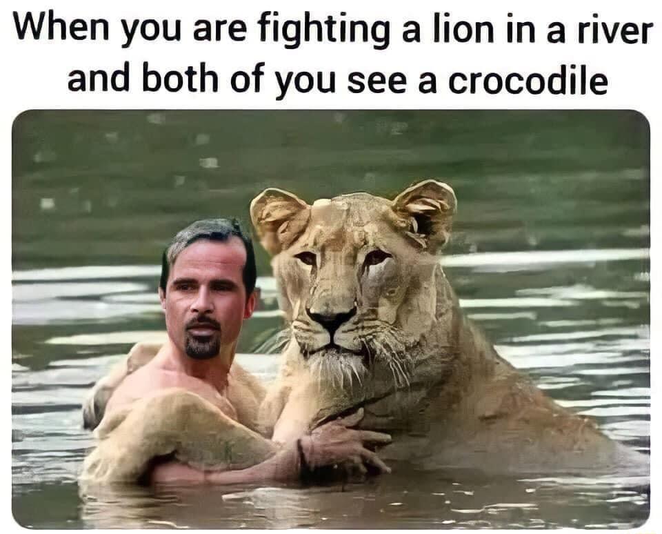 When you are fighting a lion in a river and both of you see a crocodile
